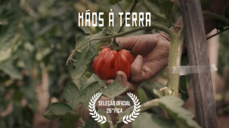 Imagem: foto detalhe de uma mão colhendo um tomate no pé. Texto na imagem: Mãos à Terra. Seleção oficial 26º FICA