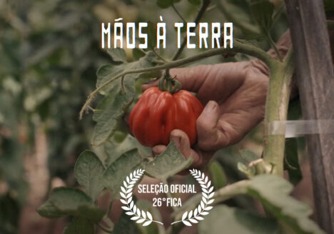 Imagem: foto detalhe de uma mão colhendo um tomate no pé. Texto na imagem: Mãos à Terra. Seleção oficial 26º FICA